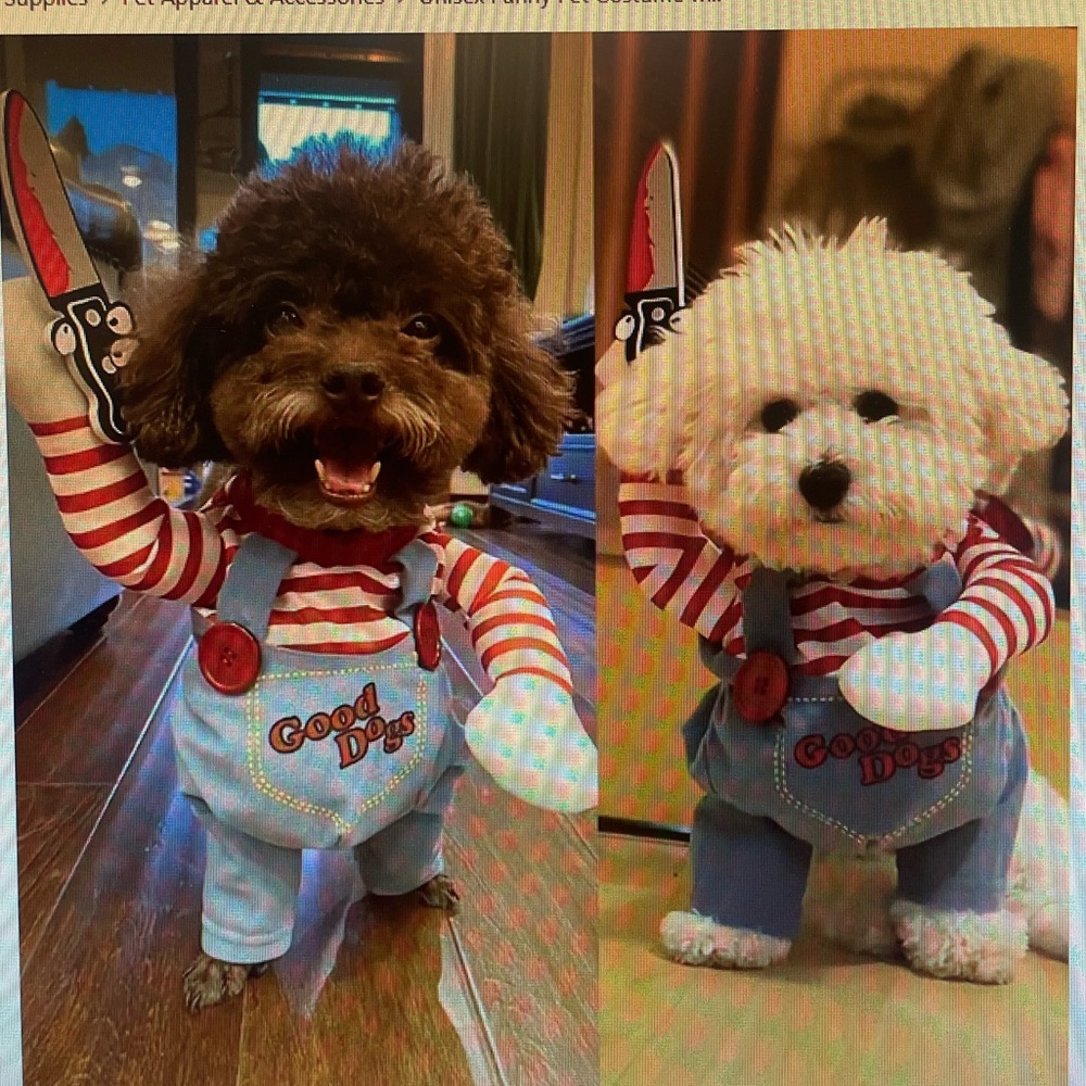 Pet Halloween costume